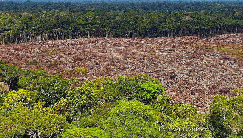 Brasil ha perdido un tercio de sus áreas naturales