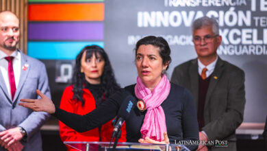 FotografÍa cedida por el Ministerio de Ciencia, Tecnología, Conocimiento e Innovación de Chile que muestra a su ministra Aisén Etcheverry hablando durante una rueda de prensa, este miércoles en Santiago (Chile).