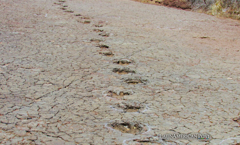 Reveal Ancient Connection Between South America and Africa