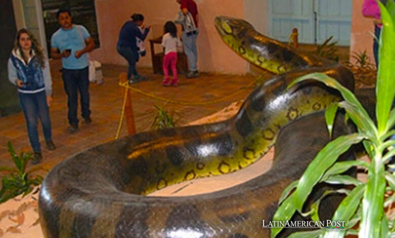 Cómo una empresa minera colombiana descubrió la serpiente más grande de la historia