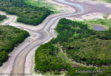 La sequía del río Amazonas está afectando la economía y la navegación