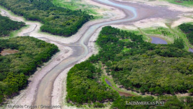 Amazon River’s Drought is Disrupting Economy and Navigation