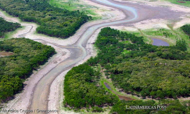 Amazon River’s Drought is Disrupting Economy and Navigation