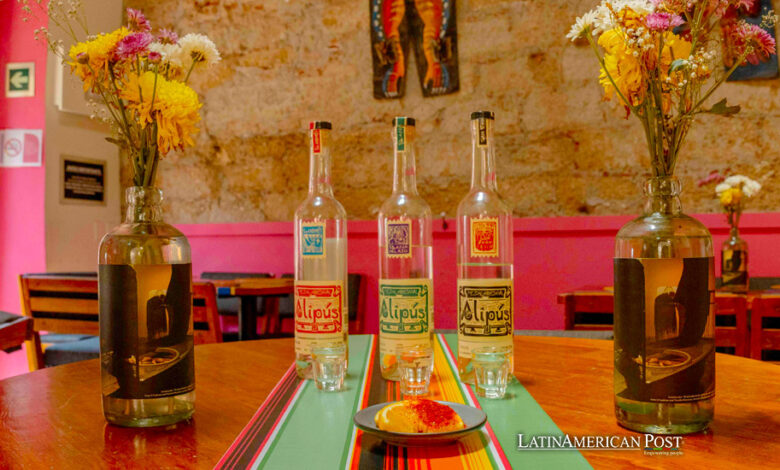 Can Mexico’s Mezcal Survive?