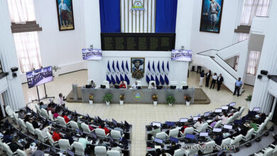 Fotografía cedida por el Parlamento de Nicaragua de los diputados de la asamblea nacional (AN) participando en una sesión este martes, en Managua (Nicaragua).