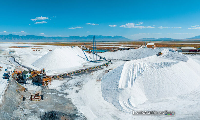 Excavación en búsqueda de Litio