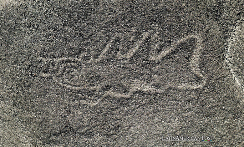 Inteligencia artificial descubre 303 nuevos geoglifos de Nazca en Perú