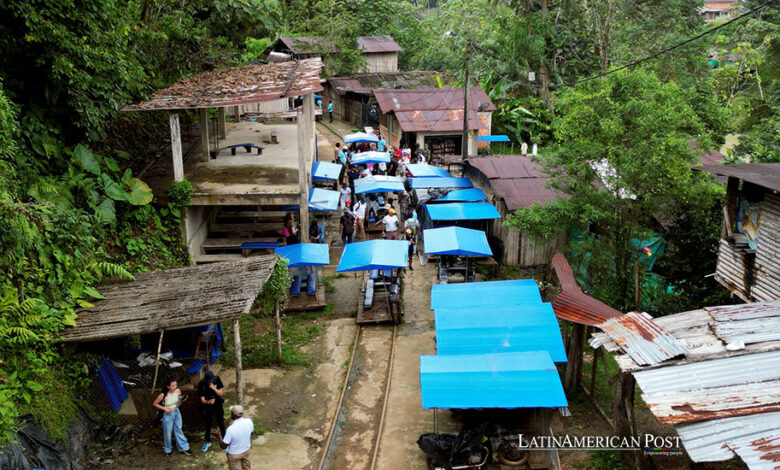 Colombian ‘Brujitas’ Drive Ecotourism Success in San Cipriano’s Jungle