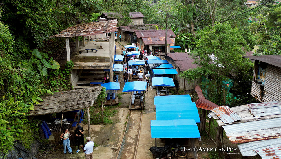 Colombian ‘Brujitas’ Drive Ecotourism Success in San Cipriano’s Jungle