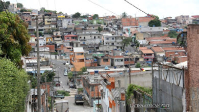 The Fight for Green Solutions in Brazil’s Favelas