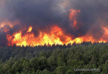 Colombia Battles Devastating Fires Amid Latin America’s Worsening Drought