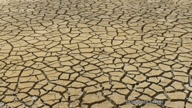 América Latina debe reconocer el impacto económico del cambio climático