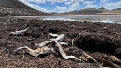 Sequía obliga a las grandes tecnológicas a replantear los centros de datos en América Latina