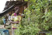 Fight for Survival as Environmental Defenders Targeted in Colombia