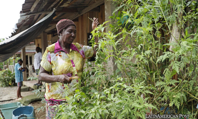 Fight for Survival as Environmental Defenders Targeted in Colombia