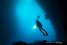 Scientists Protecting Ecuador’s Galápagos from Scuba Diving Impact