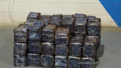 France’s “Mexicanized” Drug War Ignores Its Own Consumption Crisis