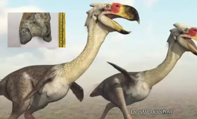 Colombia’s Prehistoric Terror Bird of Tatacoa