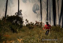 Climate Change in Latin America: The Growing Risk of Wildfires