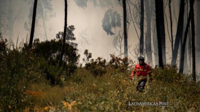 Climate Change in Latin America: The Growing Risk of Wildfires