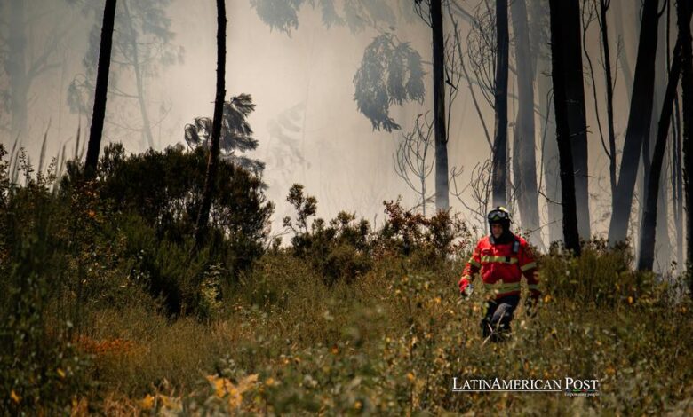 Climate Change in Latin America: The Growing Risk of Wildfires