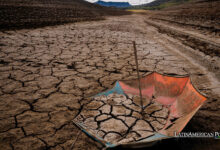 Weather Woes Impact South American Crops Amid Production Hopes