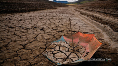 Los Problemas Climáticos Afectan las Cosechas en Sudamérica a Pesar de las Esperanzas de Producción