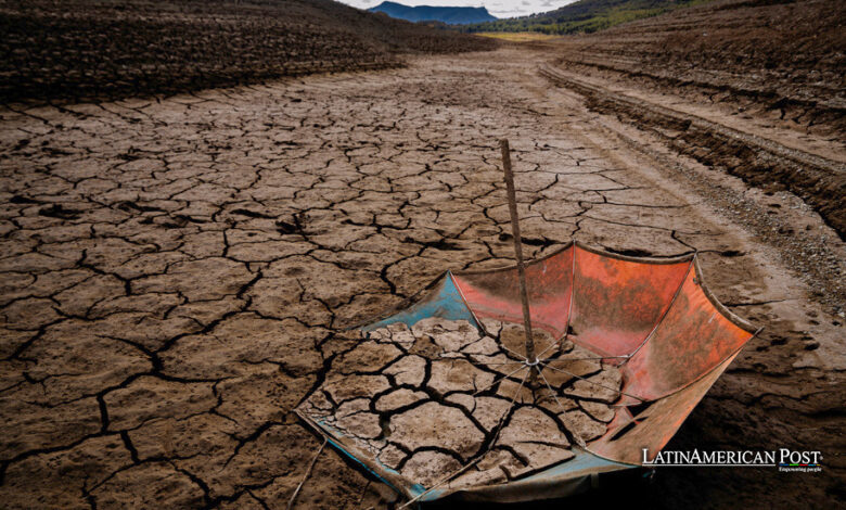 Los Problemas Climáticos Afectan las Cosechas en Sudamérica a Pesar de las Esperanzas de Producción