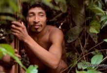 Brazil’s Mysterious’ Man of the Hole’ and Protecting Indigenous Lands