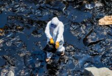 Three Years on Repsol's Oil Spill Haunts Peruvian Shores