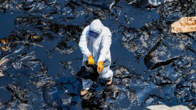 Three Years on Repsol's Oil Spill Haunts Peruvian Shores