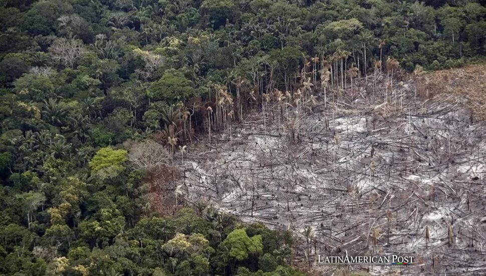 Brazil’s reaffirms Partnership to Restore Deforested Amazon