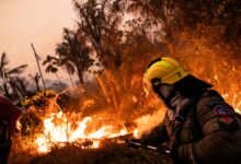 L.A. Fires Devastate Mexican American Archives Imperiling Culture's Legacy