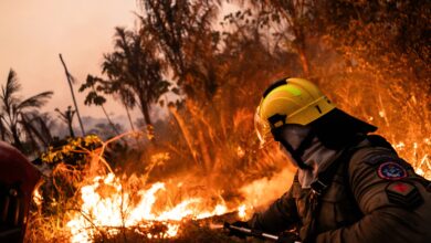 Los incendios en Los Ángeles devastan archivos mexicano-americanos, poniendo en peligro el legado cultural