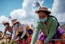 Las mujeres latinas lideran la lucha contra el cambio climático utilizando la agricultura indígena