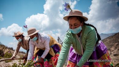 Las mujeres latinas lideran la lucha contra el cambio climático utilizando la agricultura indígena