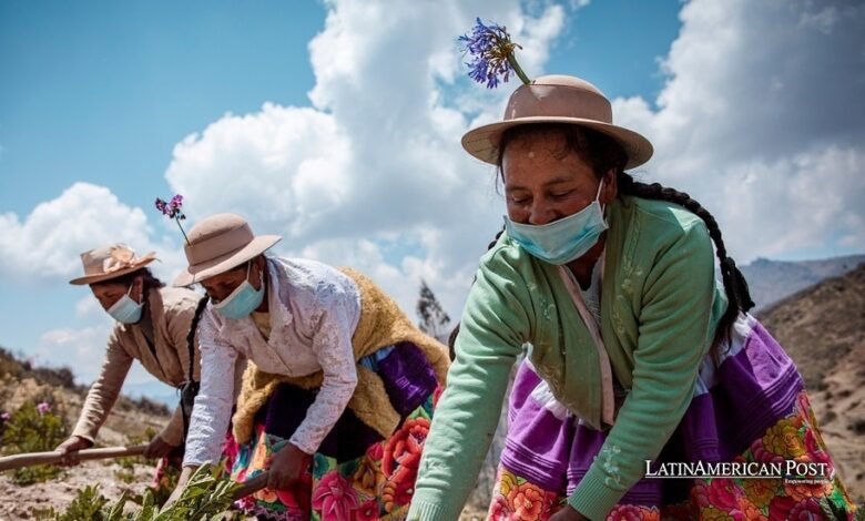 Las mujeres latinas lideran la lucha contra el cambio climático utilizando la agricultura indígena