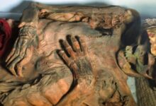 Ancient Peruvian Tattoos Revealed Through Laser Technology