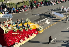 Las flores colombianas dan vida a las carrozas del Desfile de las Rosas