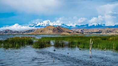 Los Maestros Antiguos del Agua de Bolivia Crearon Maravillas Bajo los Cielos Tropicales