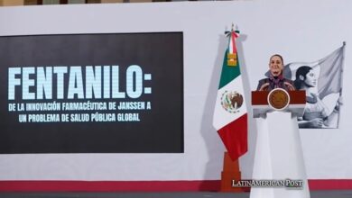 La congelación de ayuda de Trump detiene los programas de aplicación contra el fentanilo en México