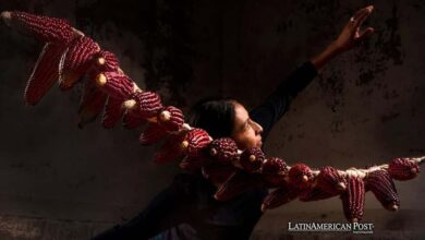 Mexico’s Sun Embracing Maize Sparks Beautiful Artistic Vision