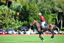 Argentina Gene Editing Horses Elevates Polo's Future Ambitions Worldwide