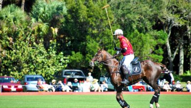 Argentina Gene Editing Horses Elevates Polo's Future Ambitions Worldwide