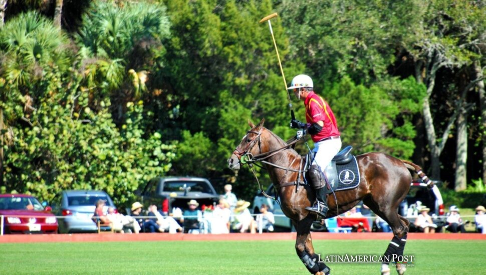 La Edición Genética de Caballos Eleva las Ambiciones Futuras del Polo a Nivel Mundial