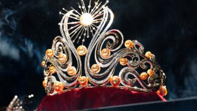 Top 25 Latin American Miss Universe Winners To Wore the Crown with Greatest Brilliance