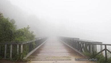 Chile Fog Harvesting: Building Sustainable Water Solutions Now