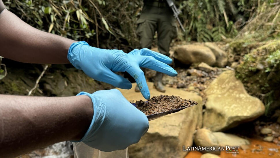 Crimen y ruina: los costos ocultos del oro sudamericano Crimen y ruina: los costos ocultos del oro sudamericano