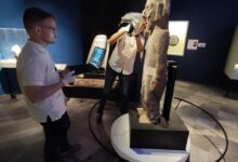 La piedra imperial de México narra una historia de poder y misterio azteca