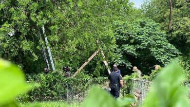 Desafío de ocho horas en la copa de un árbol por un migrante guatemalteco